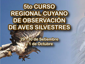 5º Curso de Avistamiento de aves 5º Curso de Avistamiento de aves