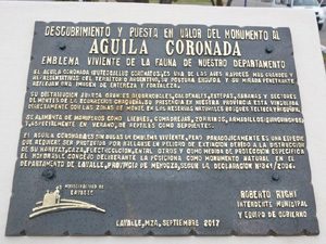 Un monumento para preservar el Águila cononada Un monumento para preservar el Águila cononada