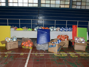 Nuevos materiales para el trabajo deportivo en Lavalle Nuevos materiales para el trabajo deportivo en Lavalle