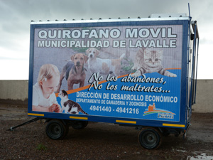 CAMPAÑA DE CASTRACIÓN DE MASCOTAS Y ANIMALES CALLEJEROS CAMPAÑA DE CASTRACIÓN DE MASCOTAS Y ANIMALES CALLEJEROS