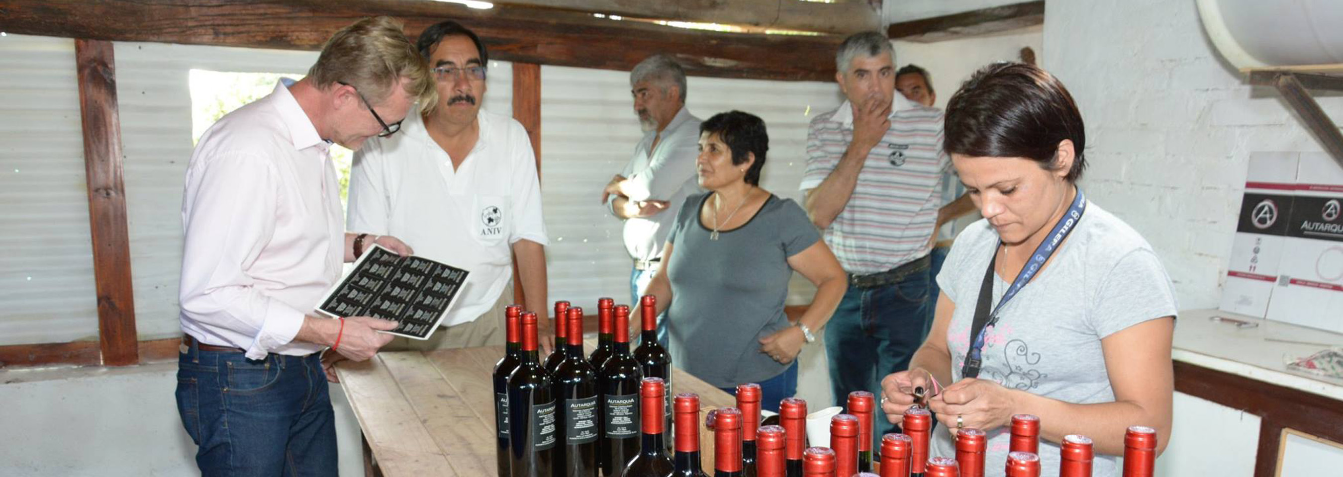Programa Municipal de Vino Casero For Export