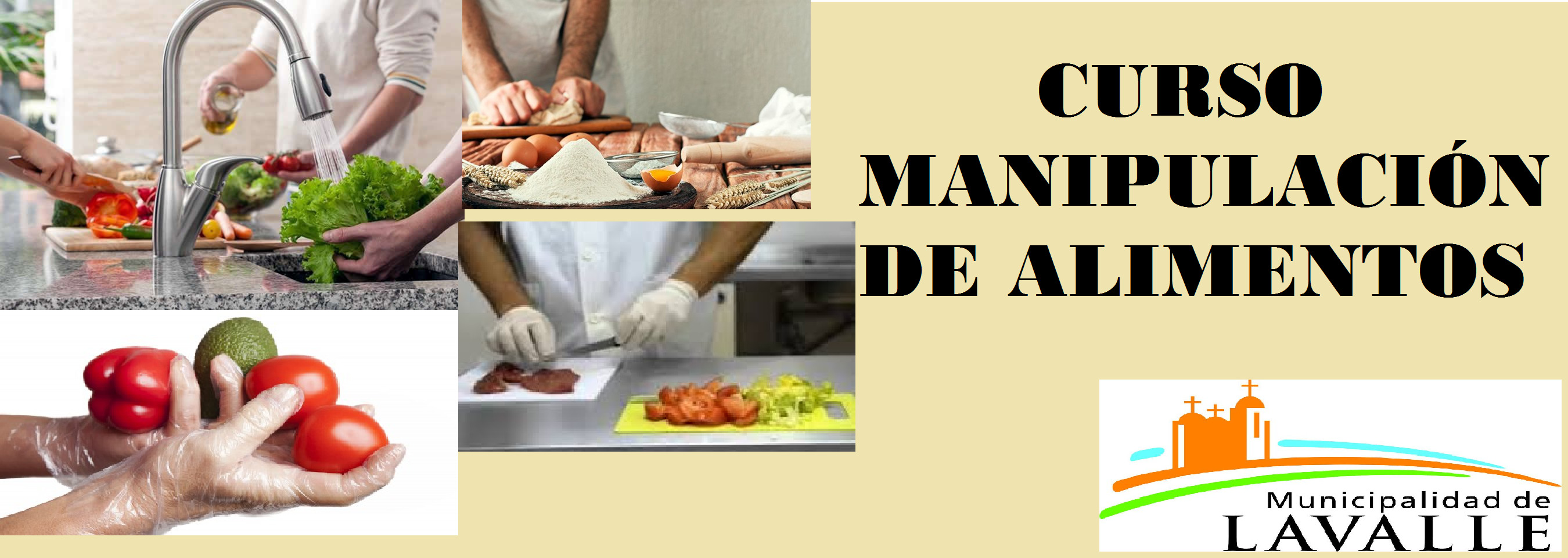 CURSO DE MANIPULACIÓN DE ALIMENTOS